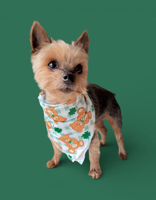TEDDY O'LUCK DREAM DOG BANDANA