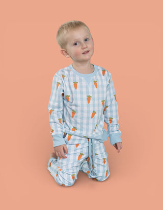 SPRING HARVEST CHECK DREAM PULLOVER