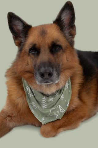 WILDERNESS WONDER DREAM DOG BANDANA